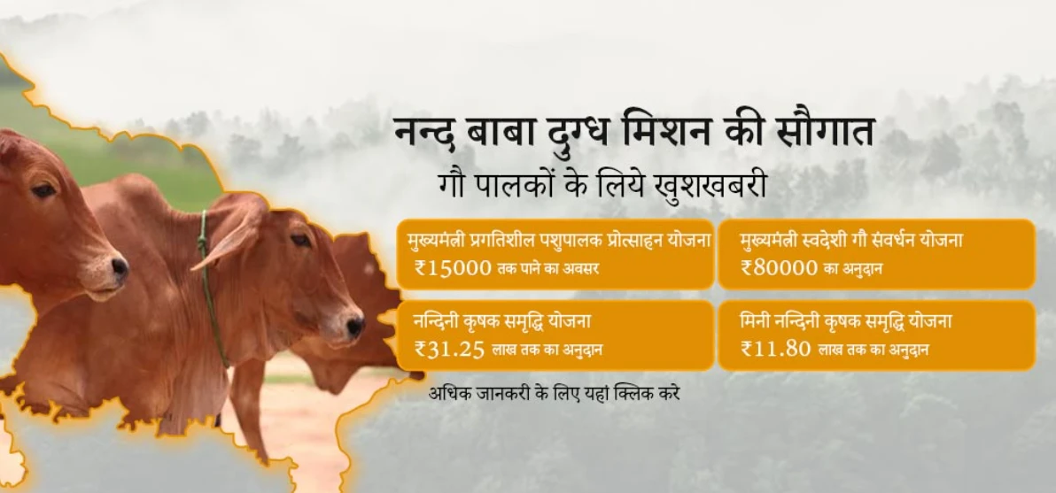 मिनी नंदिनी योजना